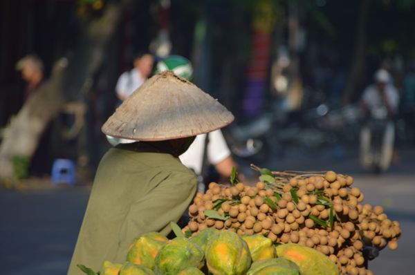 2017_Vietnam-001