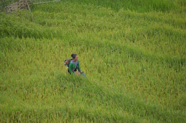 2017_Vietnam-038