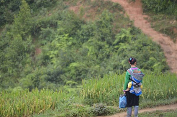 2017_Vietnam-041