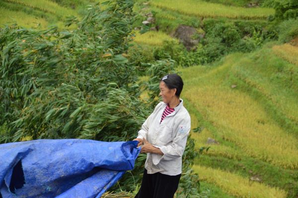 2017_Vietnam-048