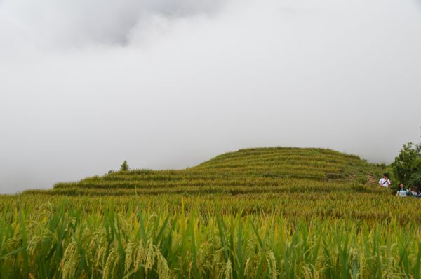 2017_Vietnam-056