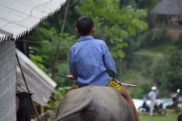2017_Vietnam-066