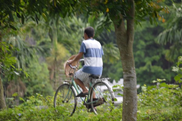 2017_Vietnam-093